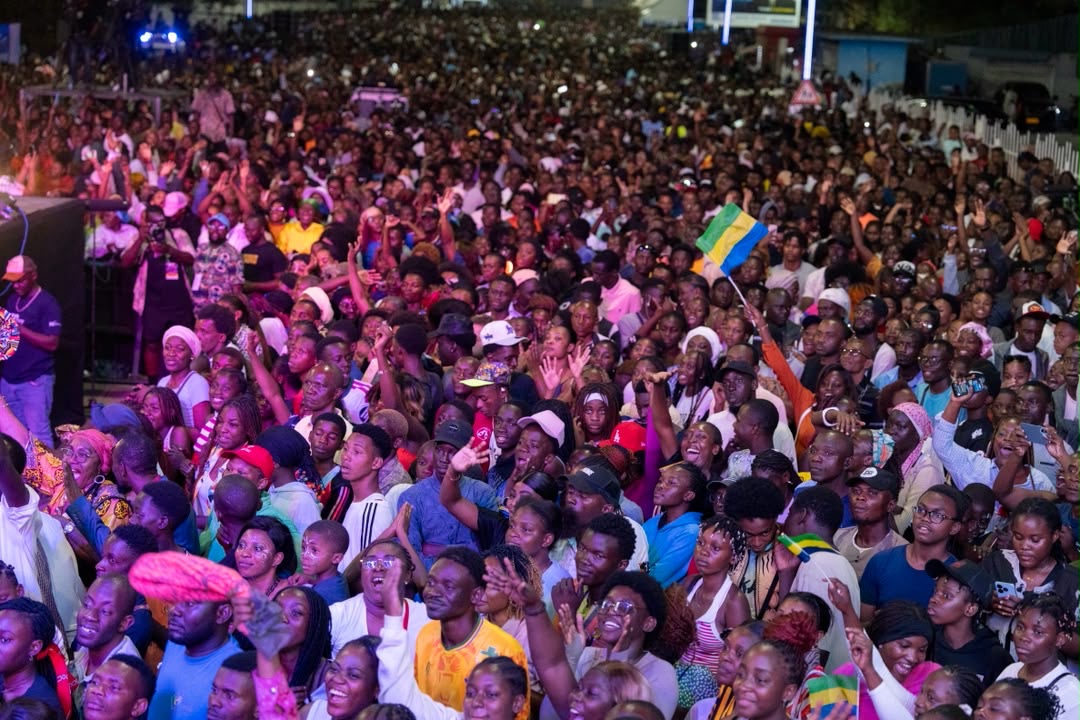 Une vue large du public éclairé pendant le concert.